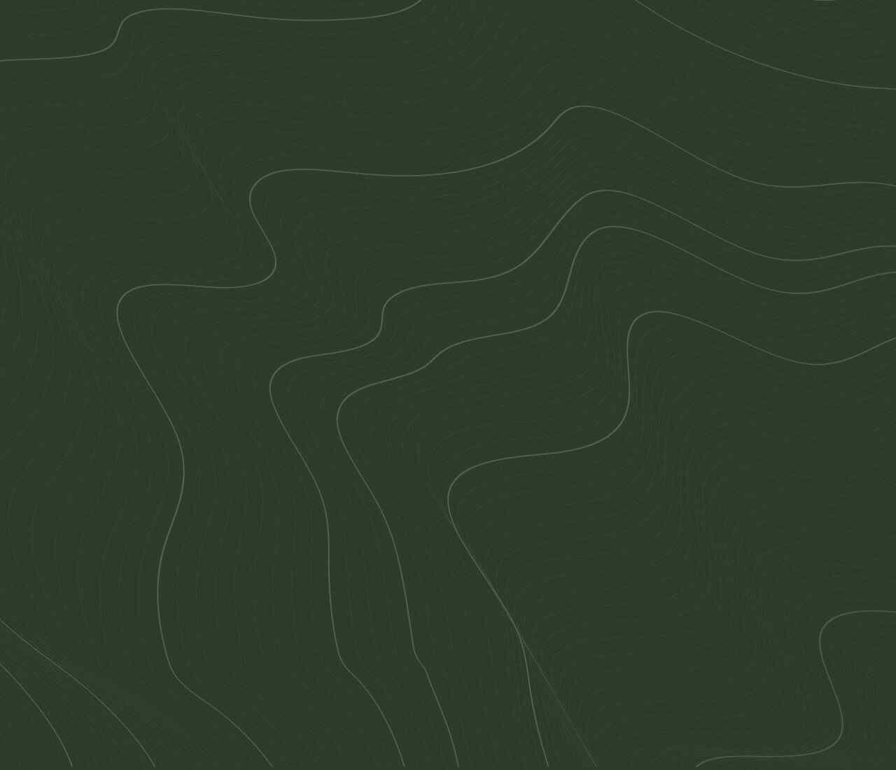 https://zaworska.pl/wp-content/uploads/2020/02/green-background-1280x1100.jpg